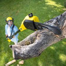 Best Sod Installation  in Urbancrest, OH