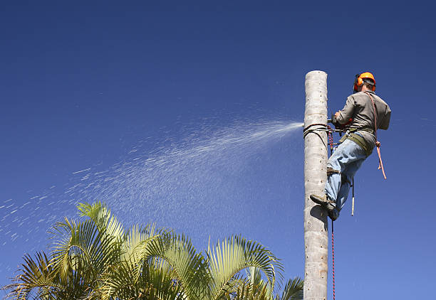 Best Lawn Watering Services  in Urbancrest, OH